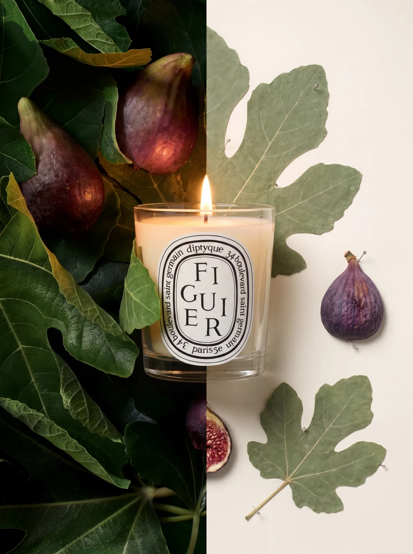 Split-tone product photo of a Diptyque Figuier candle among fresh figs and fig leaves